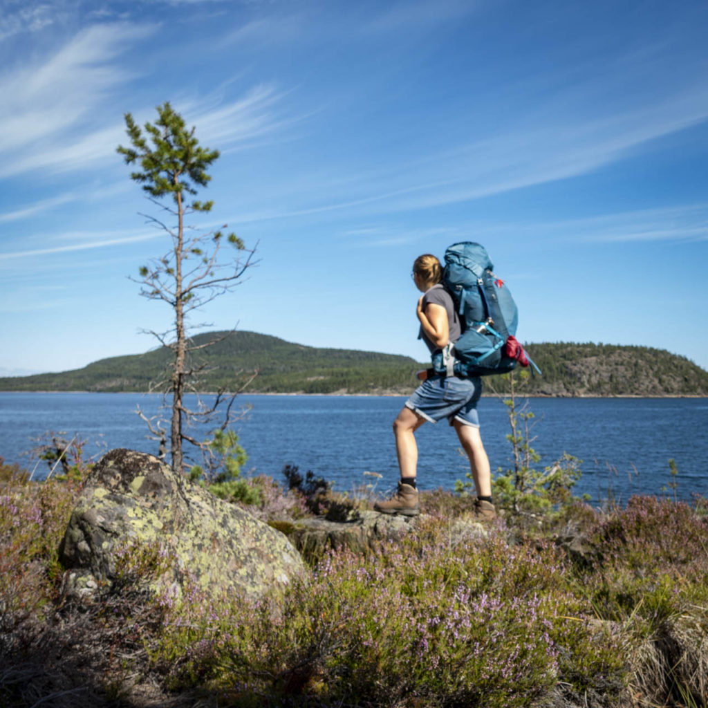 The Swedish Höga Kusten – on the High Coast Trail hiketowork