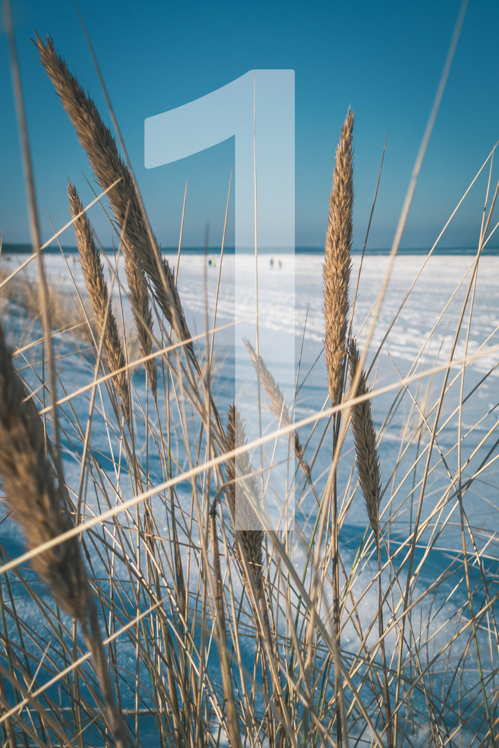 "Around the World" – Bild 4