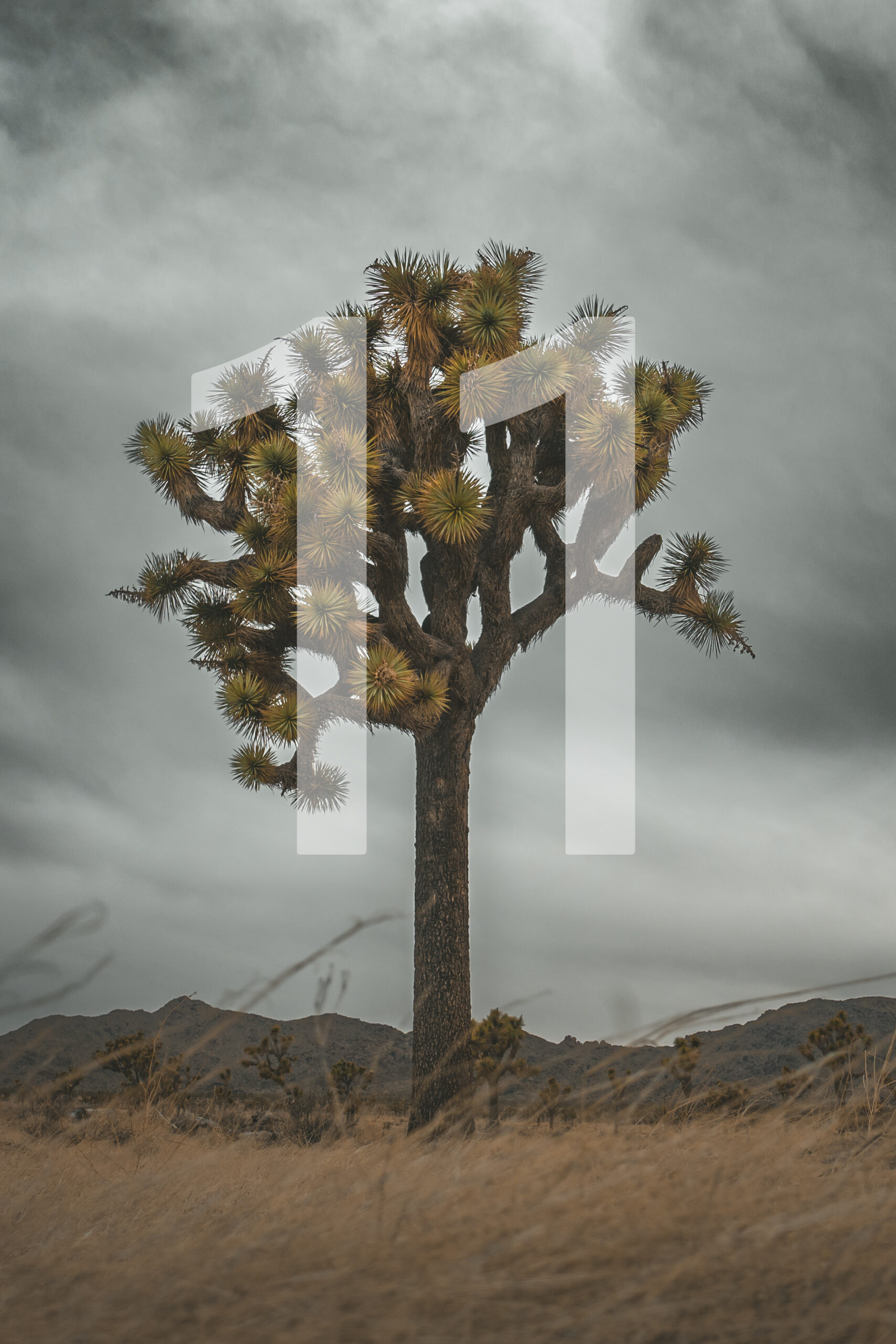 "Around the World" – Bild 14