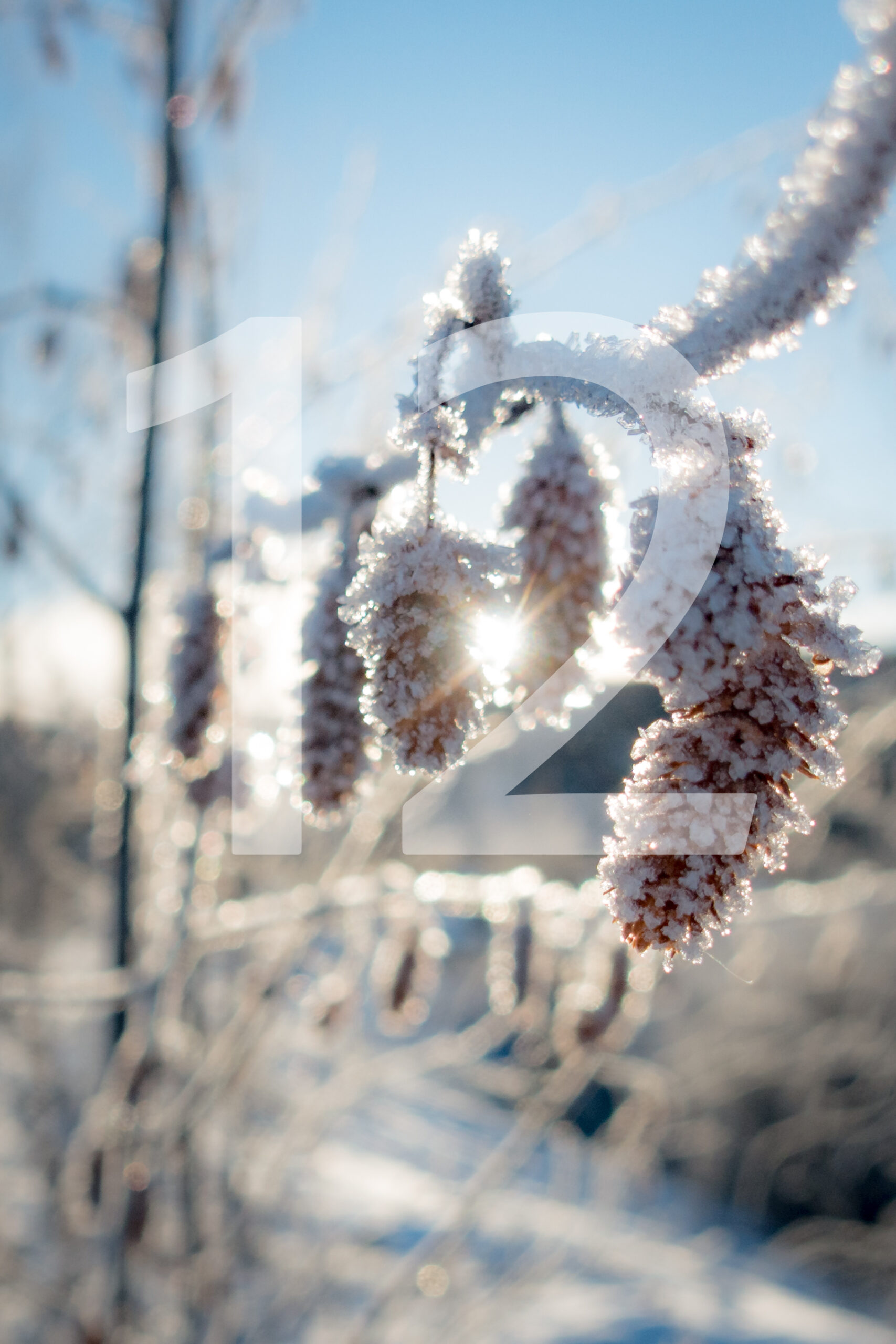 "Around the World" – Bild 15