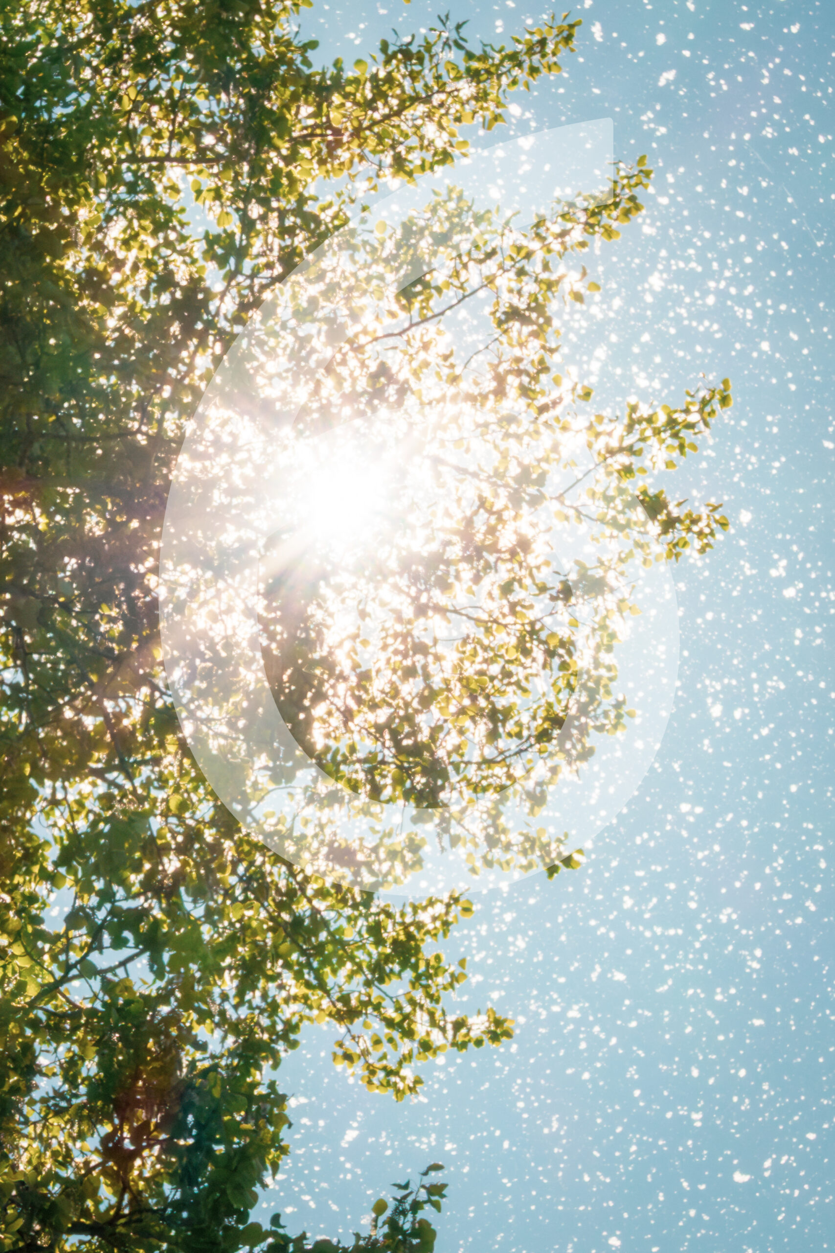 "Around the World" – Bild 9