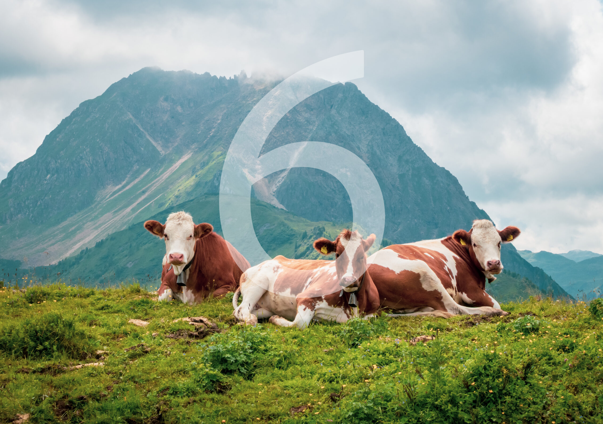 "Westendorf" Tischkalender – Bild 9